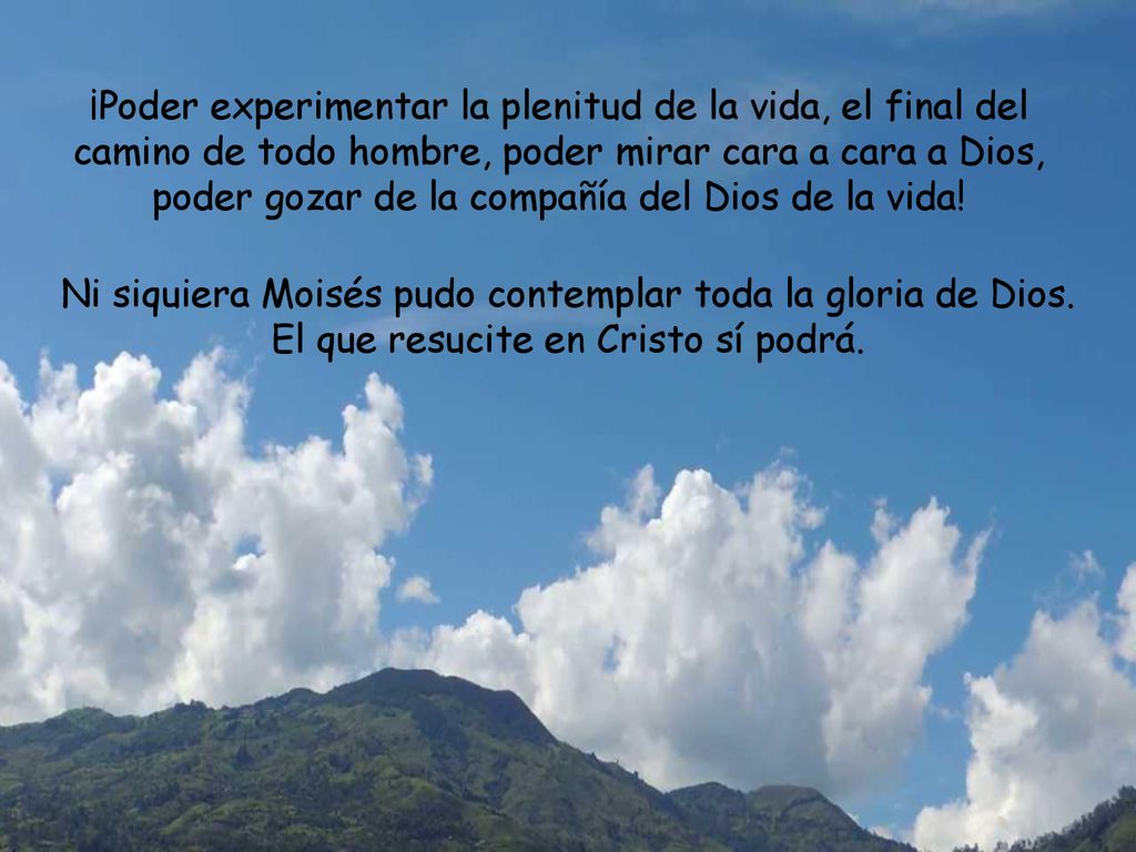 ¡Poder experimentar la plenitud de la vida, el final del camino de todo hombre, poder mirar cara a cara a Dios, poder gozar de la compañía del Dios de la vida!