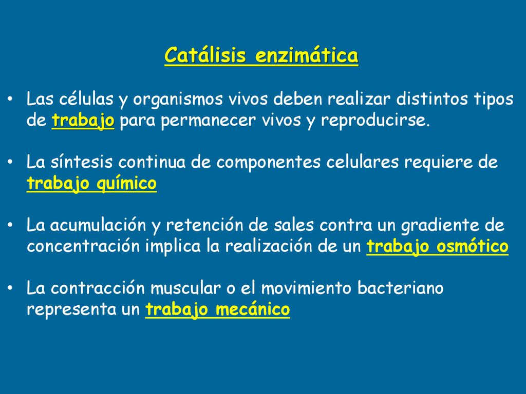 Catálisis enzimática Las células y organismos vivos deben realizar distintos tipos de trabajo para permanecer vivos y reproducirse.