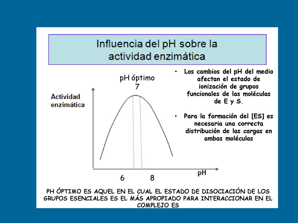 Los cambios del pH del medio afectan el estado de ionización de grupos funcionales de las moléculas de E y S.