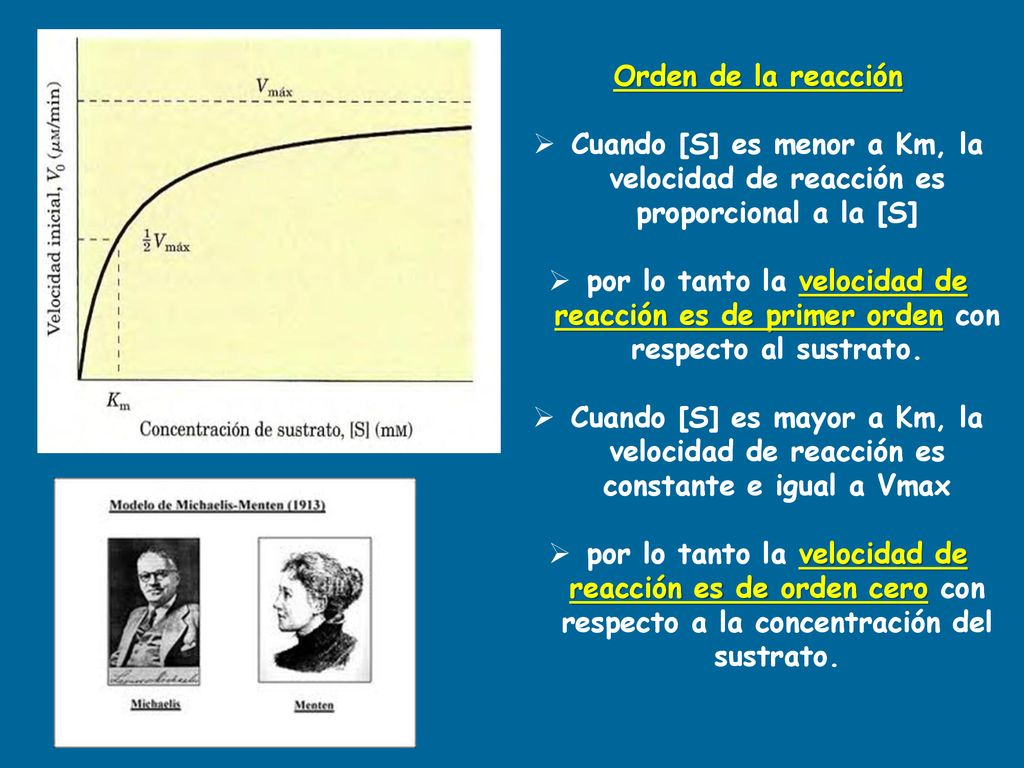 Orden de la reacción Cuando [S] es menor a Km, la velocidad de reacción es proporcional a la [S]