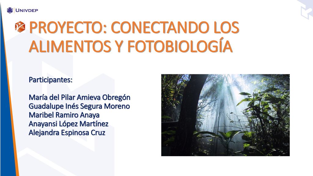 PROYECTO: CONECTANDO LOS ALIMENTOS Y FOTOBIOLOGÍA Participantes: María del Pilar Amieva Obregón Guadalupe Inés Segura Moreno Maribel Ramiro Anaya Anayansi López Martínez Alejandra Espinosa Cruz