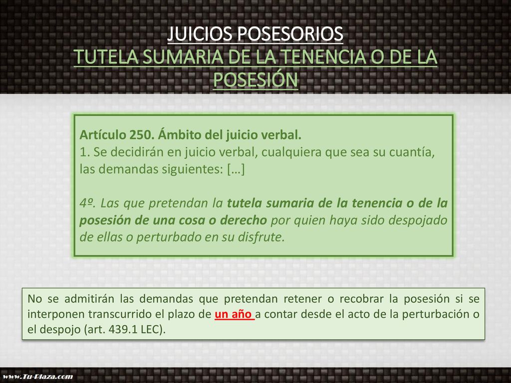 JUICIOS POSESORIOS TUTELA SUMARIA DE LA TENENCIA O DE LA POSESIÓN