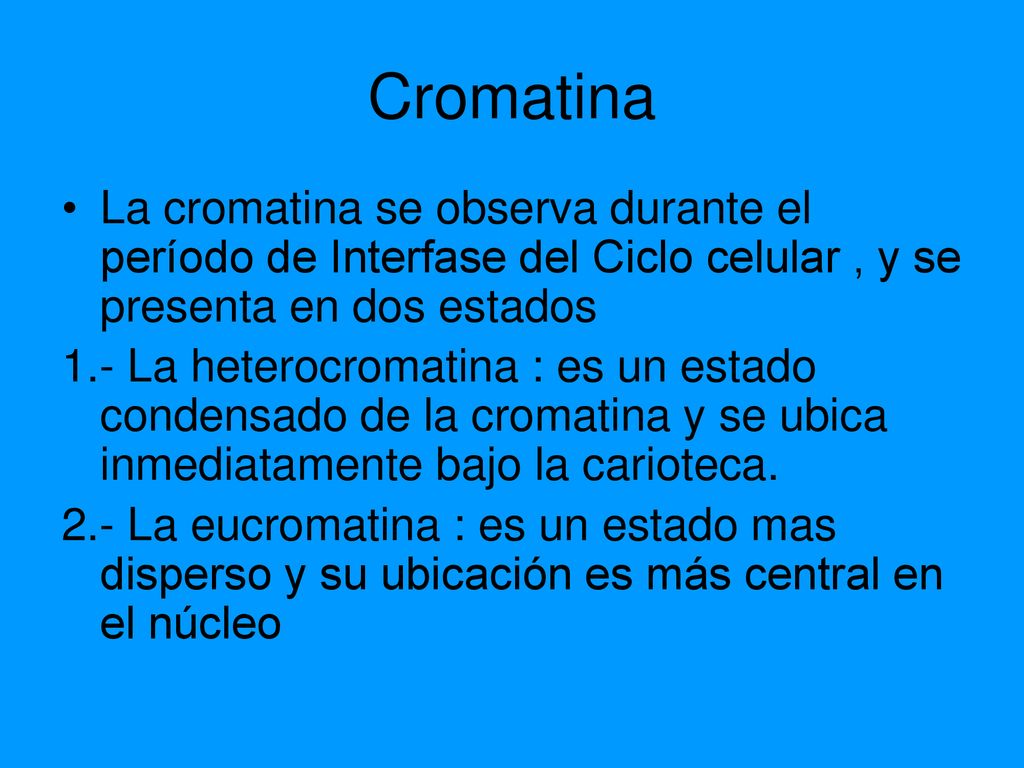 Cromatina La cromatina se observa durante el período de Interfase del Ciclo celular , y se presenta en dos estados.