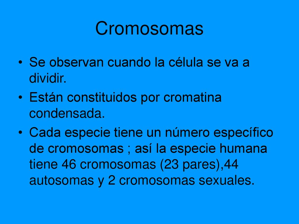Cromosomas Se observan cuando la célula se va a dividir.