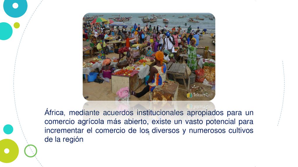 África, mediante acuerdos institucionales apropiados para un comercio agrícola más abierto, existe un vasto potencial para incrementar el comercio de los diversos y numerosos cultivos de la región