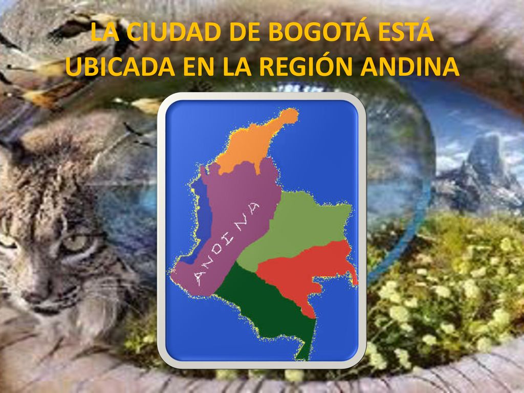 LA CIUDAD DE BOGOTÁ ESTÁ UBICADA EN LA REGIÓN ANDINA