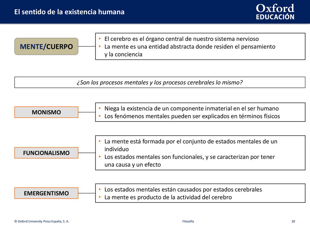 ¿Son los procesos mentales y los procesos cerebrales lo mismo