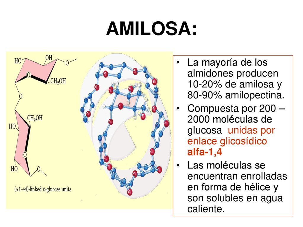 AMILOSA: La mayoría de los almidones producen 10-20% de amilosa y 80-90% amilopectina.