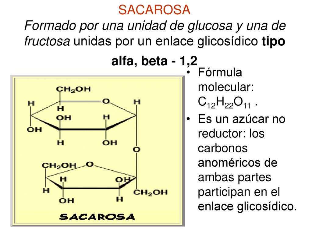 SACAROSA Formado por una unidad de glucosa y una de fructosa unidas por un enlace glicosídico tipo alfa, beta - 1,2