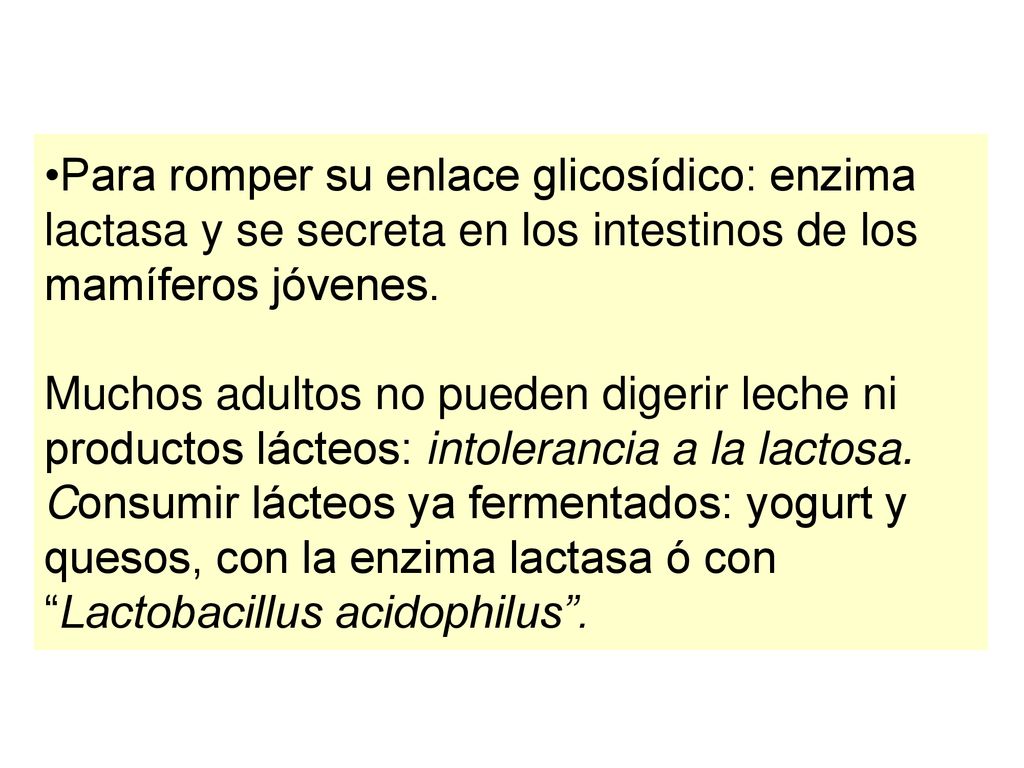Para romper su enlace glicosídico: enzima lactasa y se secreta en los intestinos de los mamíferos jóvenes.