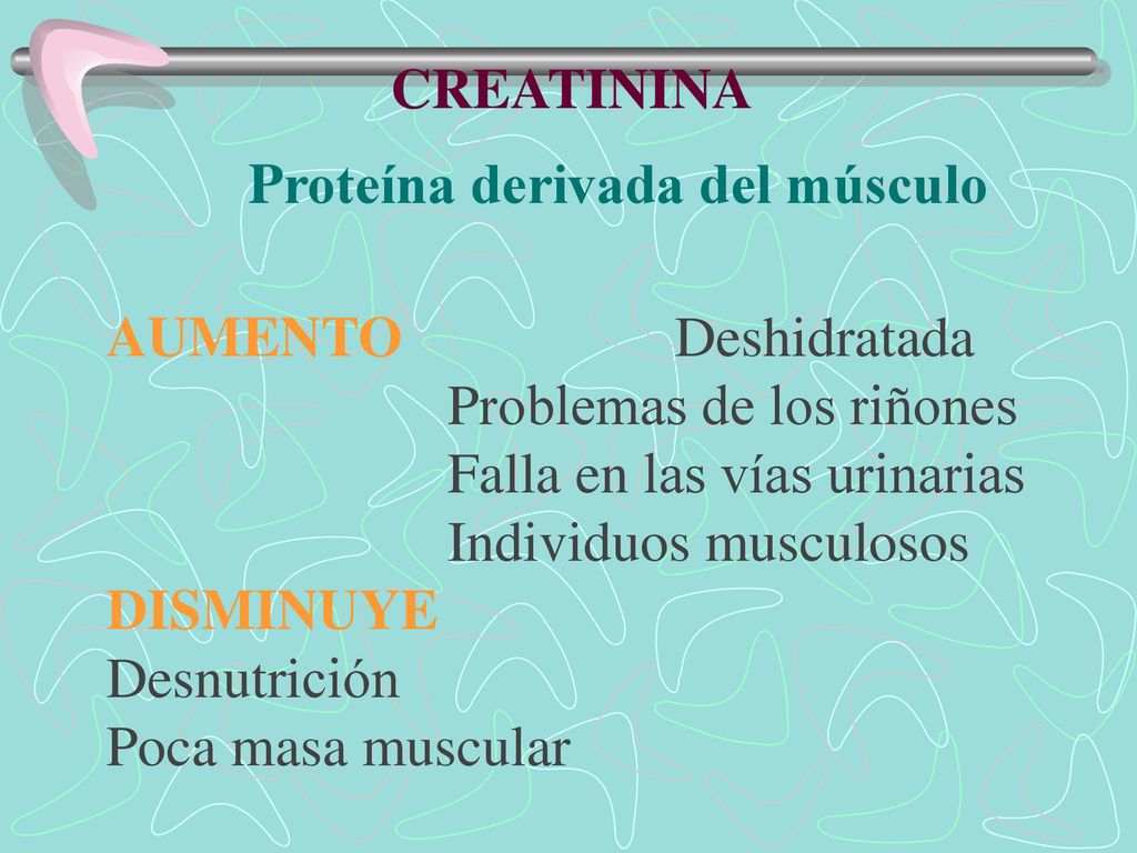 CREATININA Proteína derivada del músculo. AUMENTO Deshidratada. Problemas de los riñones. Falla en las vías urinarias.