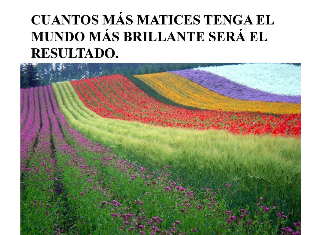 CUANTOS MÁS MATICES TENGA EL MUNDO MÁS BRILLANTE SERÁ EL RESULTADO.