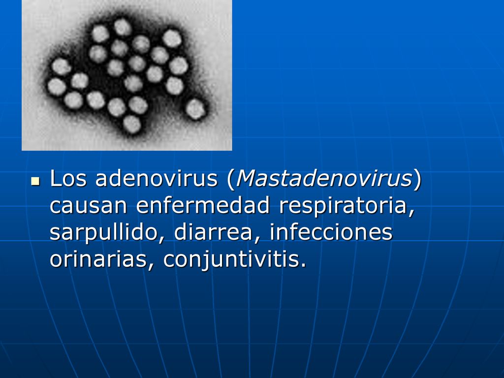 Los adenovirus (Mastadenovirus) causan enfermedad respiratoria, sarpullido, diarrea, infecciones orinarias, conjuntivitis.