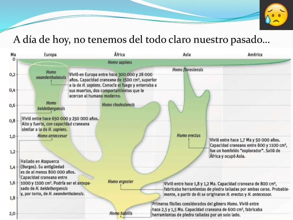 A día de hoy, no tenemos del todo claro nuestro pasado…
