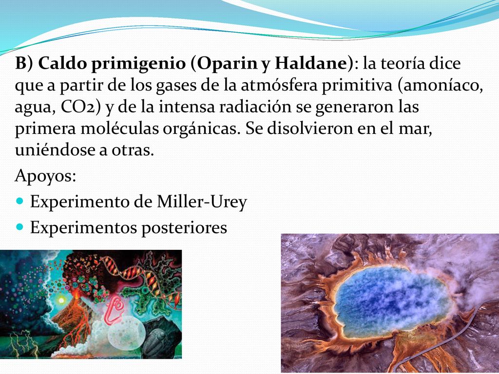 B) Caldo primigenio (Oparin y Haldane): la teoría dice que a partir de los gases de la atmósfera primitiva (amoníaco, agua, CO2) y de la intensa radiación se generaron las primera moléculas orgánicas. Se disolvieron en el mar, uniéndose a otras.