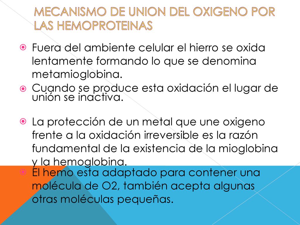 Cuando se produce esta oxidación el lugar de unión se inactiva.