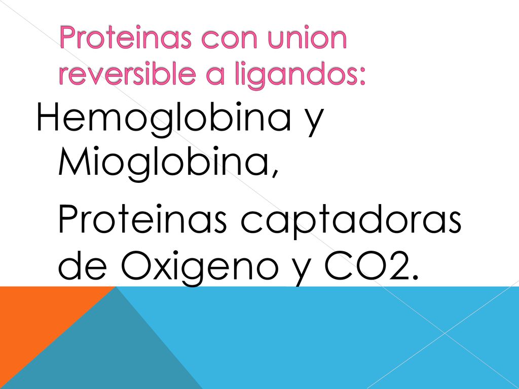 de Hemoglobina Mioglobina, y Proteinas captadoras Oxigeno y CO2.