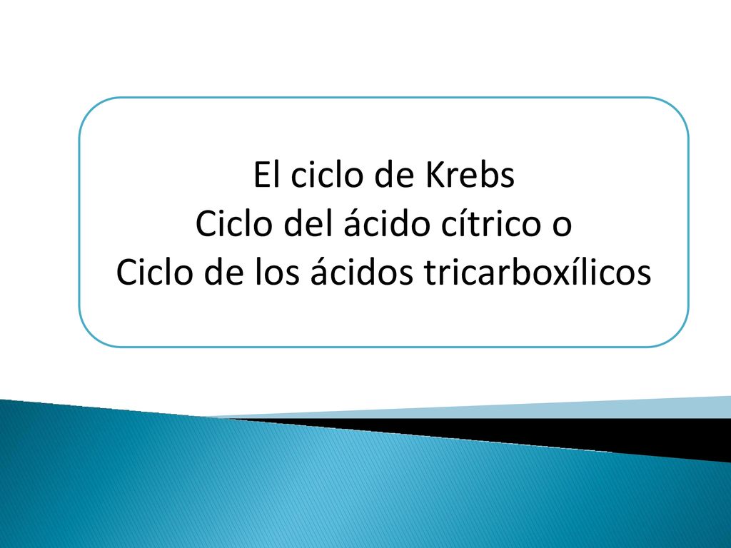 Ciclo del ácido cítrico o Ciclo de los ácidos tricarboxílicos