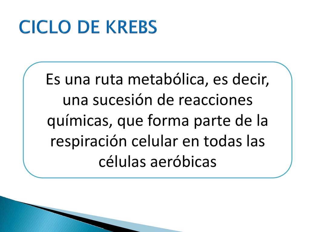 Es una ruta metabólica, es decir, una sucesión de reacciones químicas, que forma parte de la respiración celular en todas las células aeróbicas