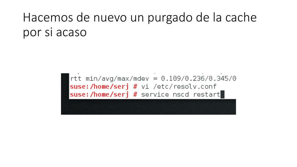 Hacemos de nuevo un purgado de la cache por si acaso