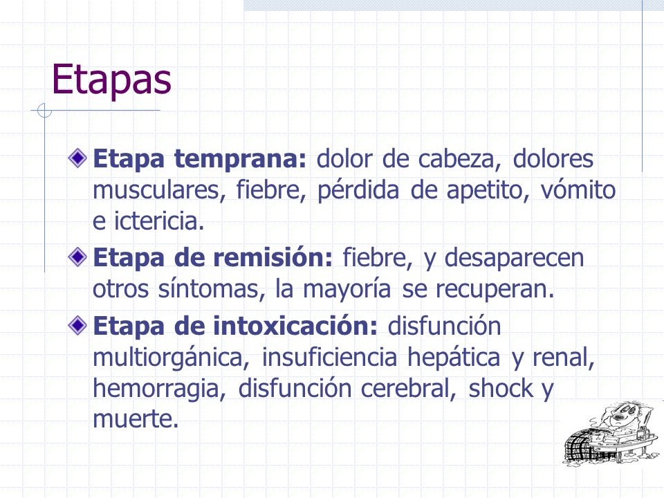 Etapas Etapa temprana: dolor de cabeza, dolores musculares, fiebre, pérdida de apetito, vómito e ictericia.