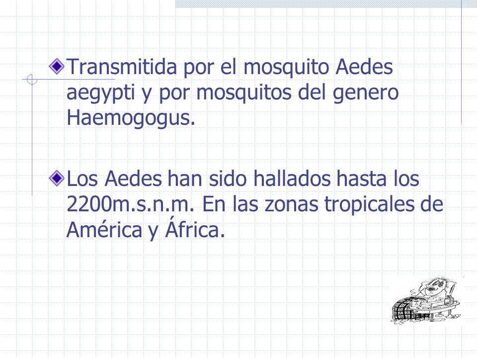 Transmitida por el mosquito Aedes aegypti y por mosquitos del genero Haemogogus.
