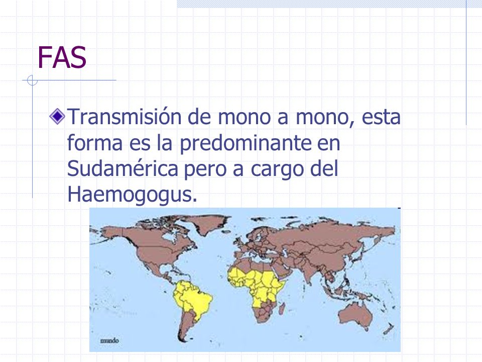 FAS Transmisión de mono a mono, esta forma es la predominante en Sudamérica pero a cargo del Haemogogus.