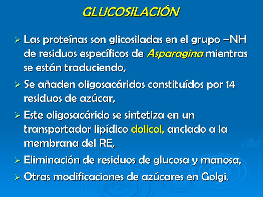 GLUCOSILACIÓN Las proteínas son glicosiladas en el grupo –NH de residuos específicos de Asparagina mientras se están traduciendo,
