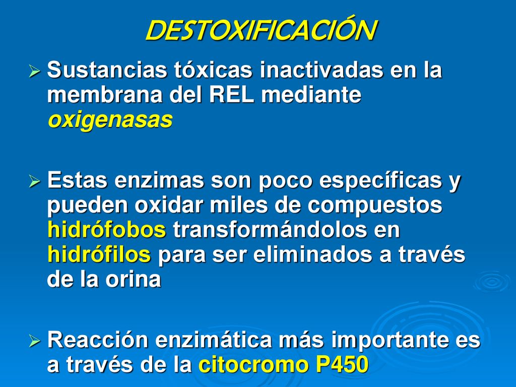 DESTOXIFICACIÓN Sustancias tóxicas inactivadas en la membrana del REL mediante oxigenasas.