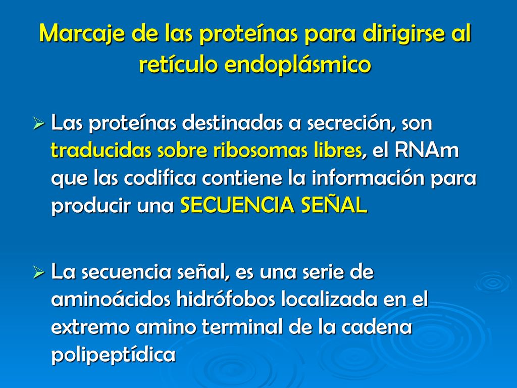Marcaje de las proteínas para dirigirse al retículo endoplásmico