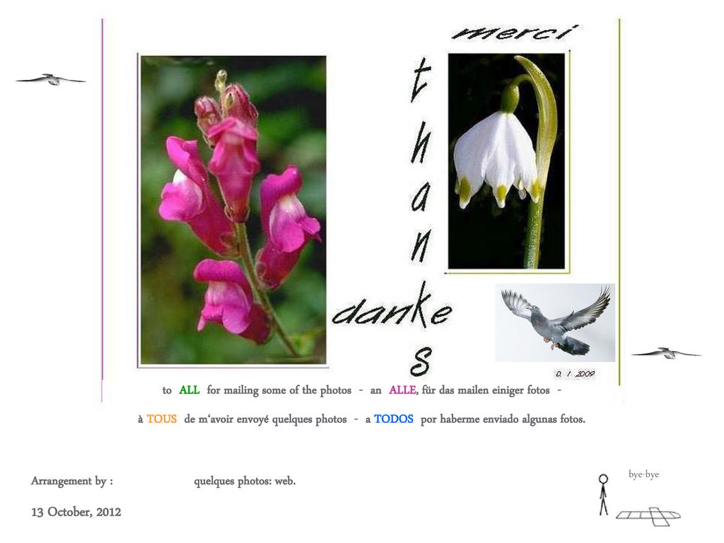 to ALL for mailing some of the photos - an ALLE, für das mailen einiger fotos -