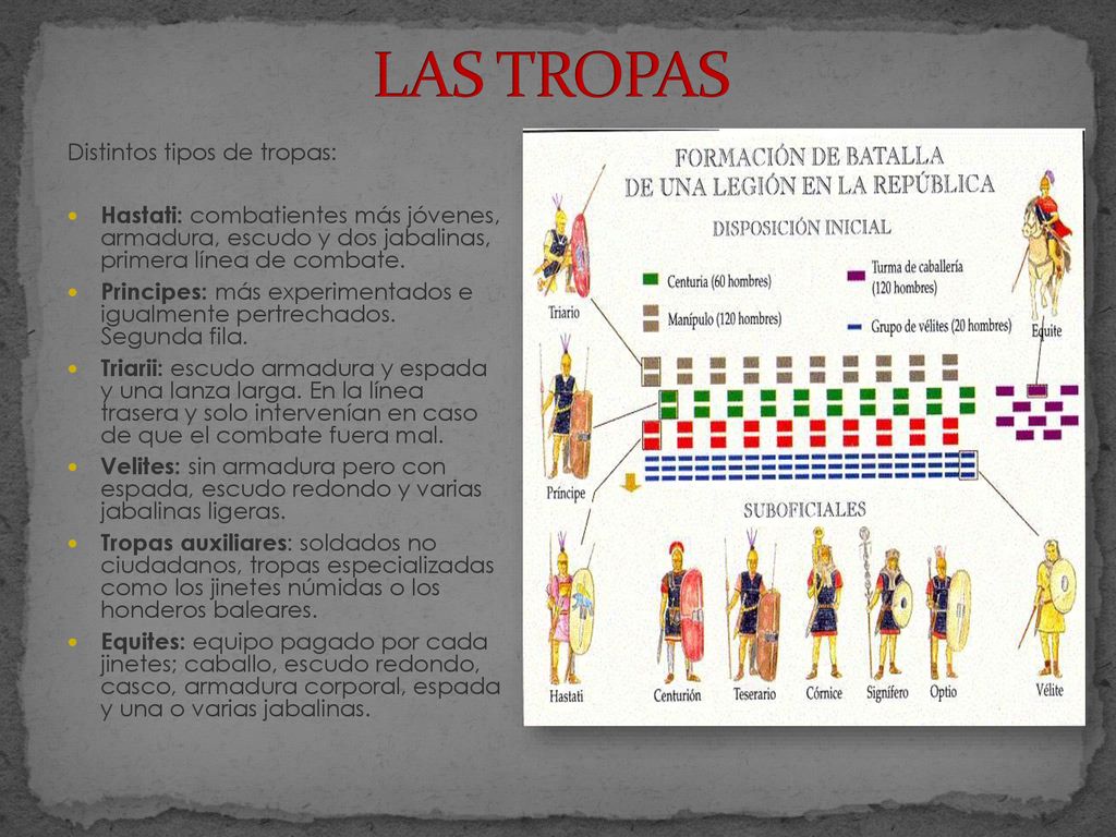 LAS TROPAS Distintos tipos de tropas: