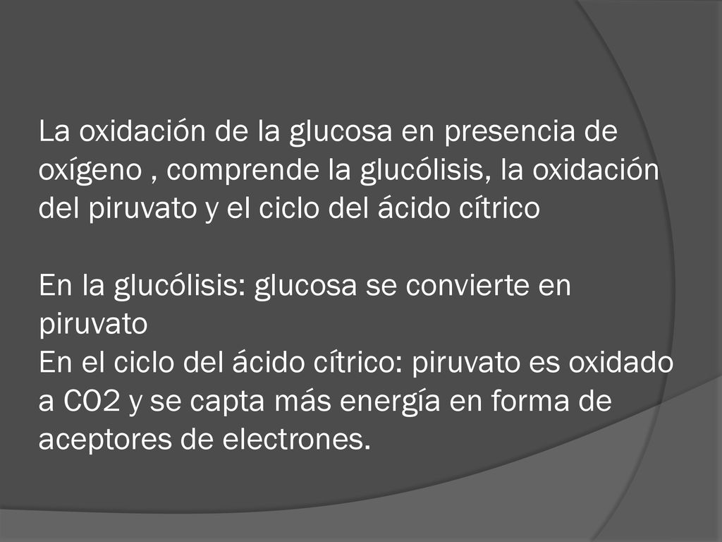 La oxidación de la glucosa en presencia de oxígeno , comprende la glucólisis, la oxidación del piruvato y el ciclo del ácido cítrico