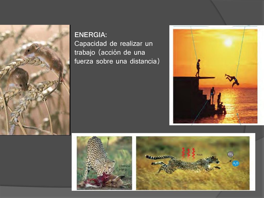ENERGIA: Capacidad de realizar un trabajo (acción de una fuerza sobre una distancia)