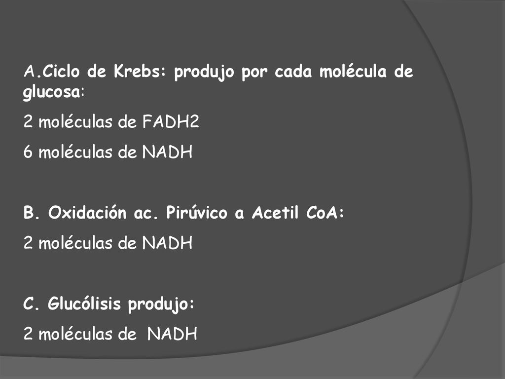 A.Ciclo de Krebs: produjo por cada molécula de glucosa: