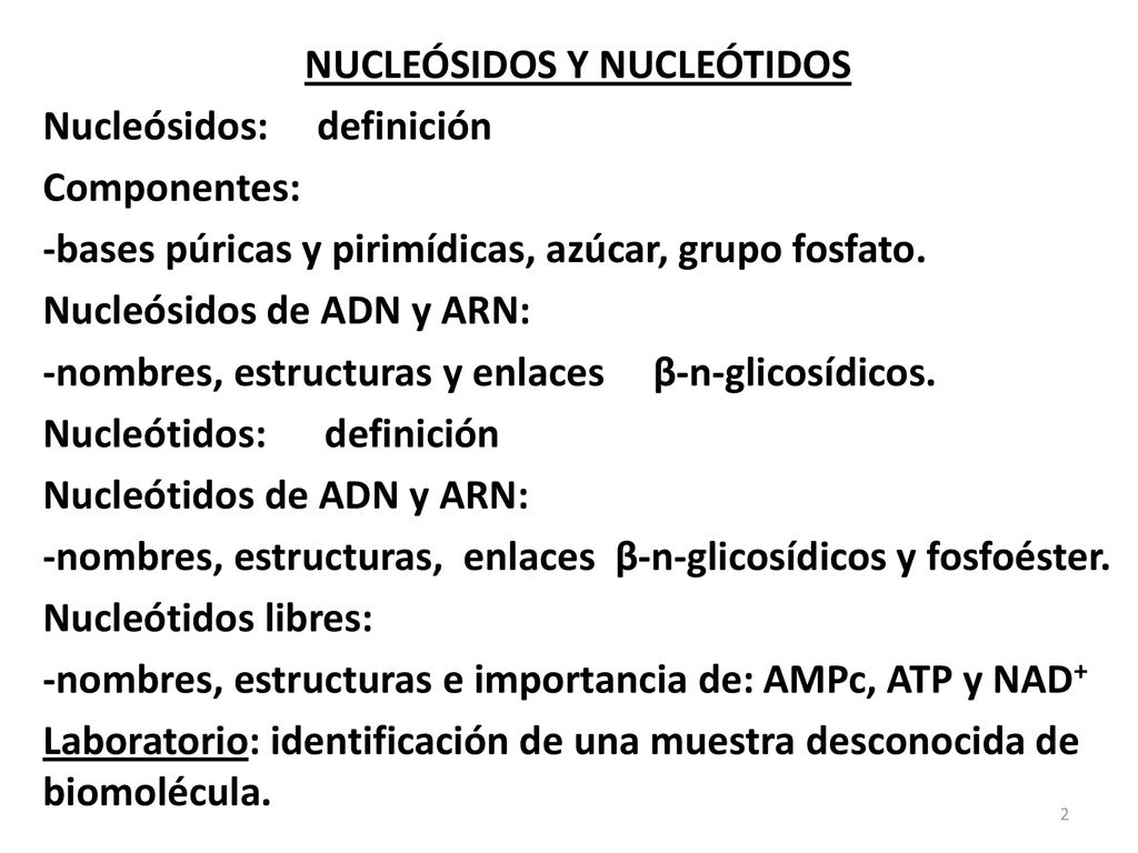 NUCLEÓSIDOS Y NUCLEÓTIDOS Nucleósidos: definición Componentes: -bases púricas y pirimídicas, azúcar, grupo fosfato.