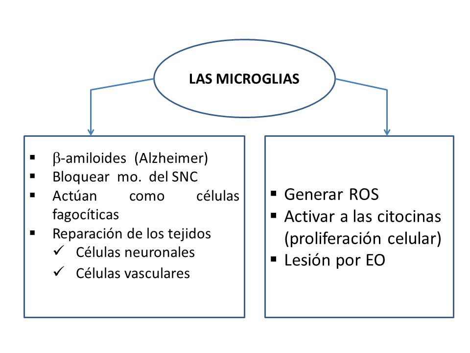 Activar a las citocinas (proliferación celular) Lesión por EO