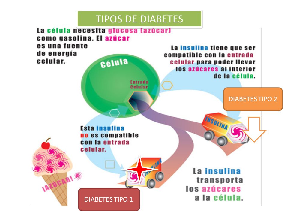 TIPOS DE DIABETES DIABETES TIPO 2 DIABETES TIPO 1