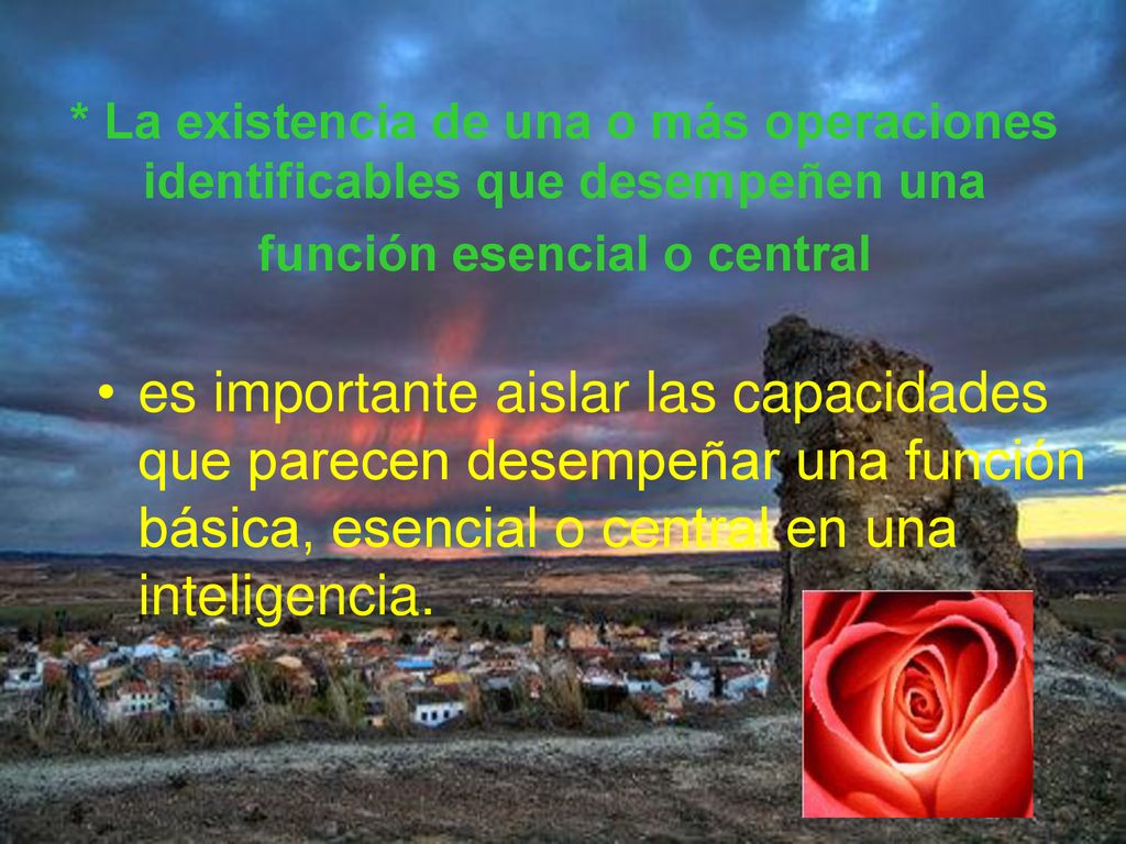 * La existencia de una o más operaciones identificables que desempeñen una función esencial o central