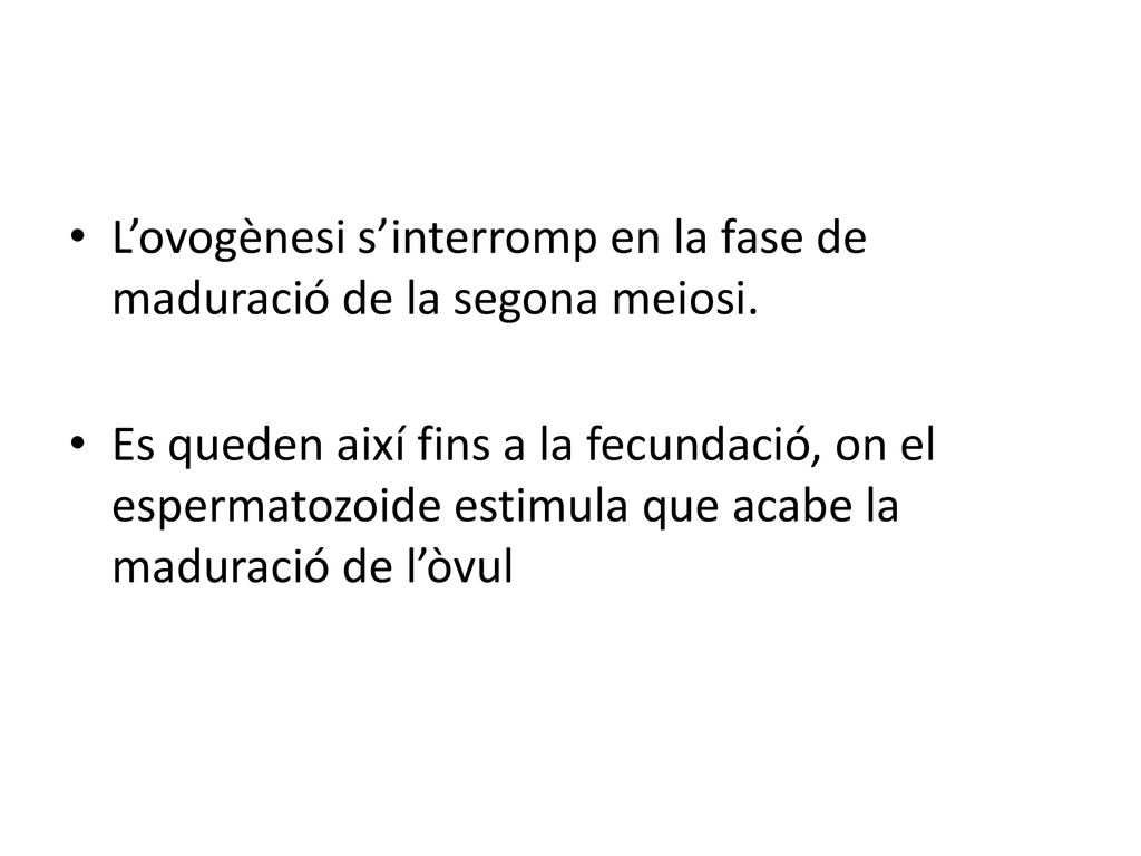 L’ovogènesi s’interromp en la fase de maduració de la segona meiosi.