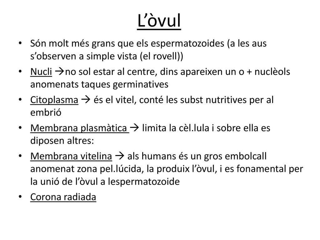 L’òvul Són molt més grans que els espermatozoides (a les aus s’observen a simple vista (el rovell))