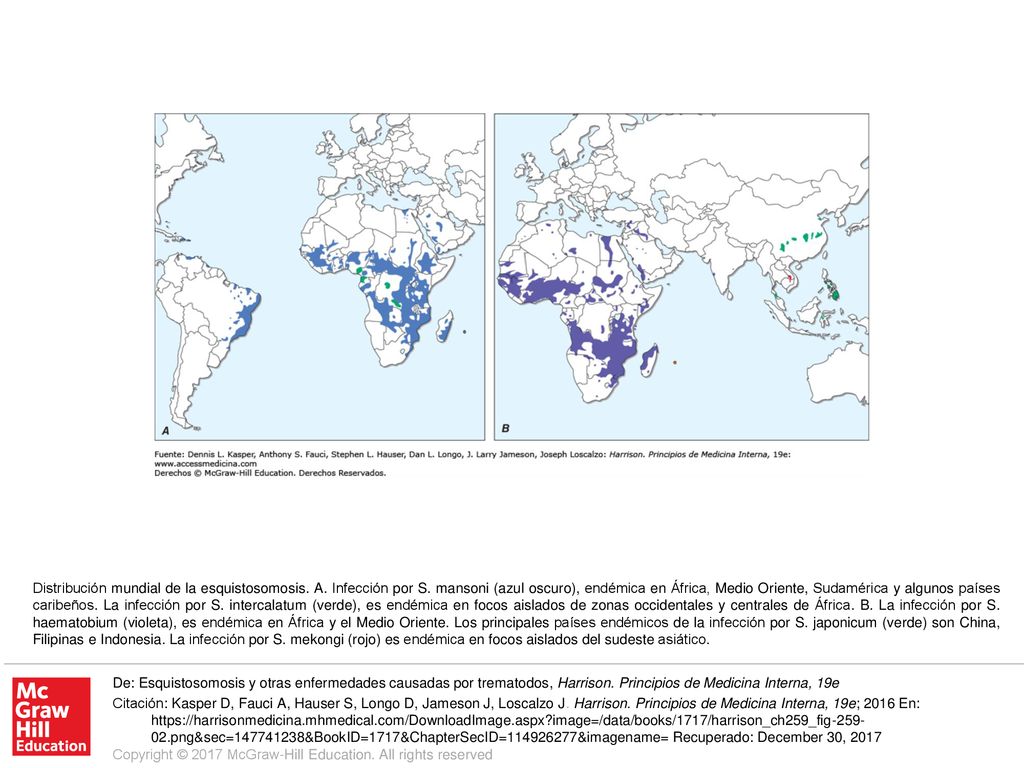 Distribución mundial de la esquistosomosis. A. Infección por S