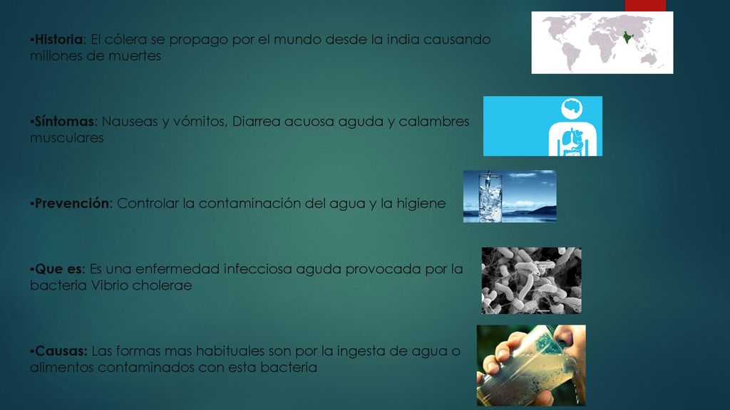 ▪Historia: El cólera se propago por el mundo desde la india causando millones de muertes