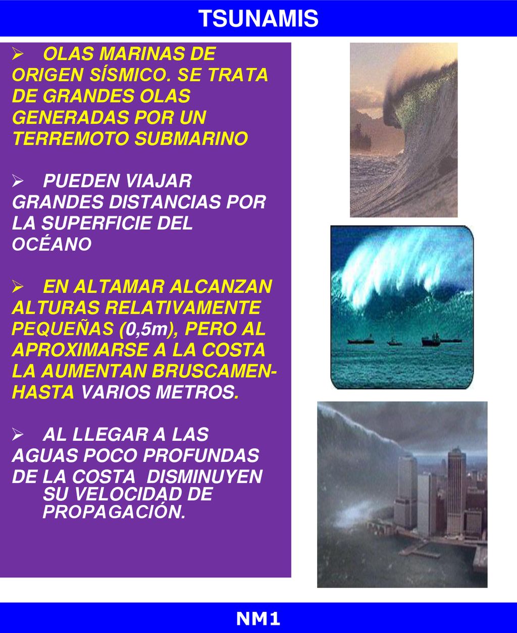 TSUNAMIS olas marinas de origen sísmico. Se trata de grandes olas