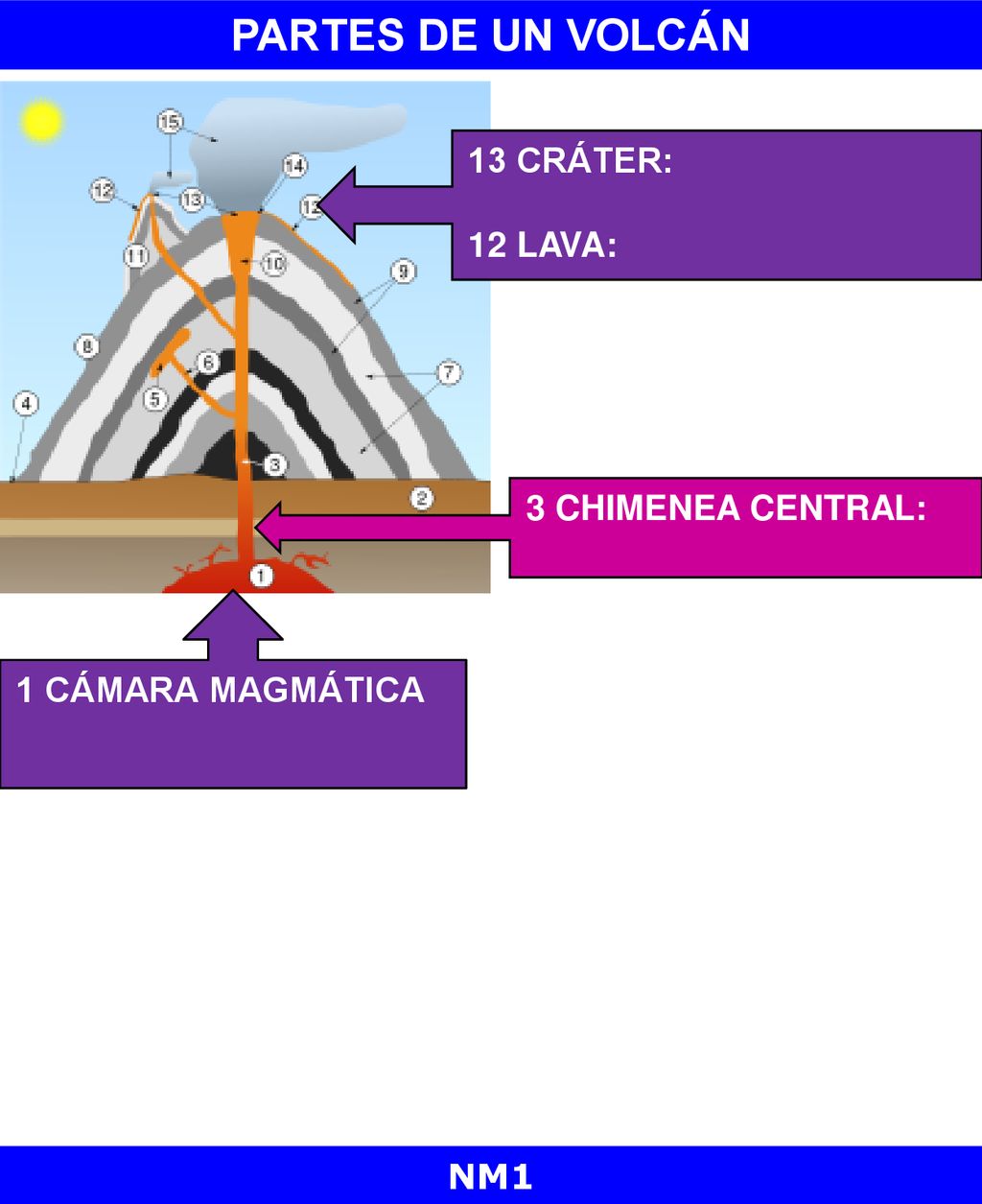 PARTES DE UN VOLCÁN 13 CRÁTER: 12 LAVA: 3 CHIMENEA CENTRAL: