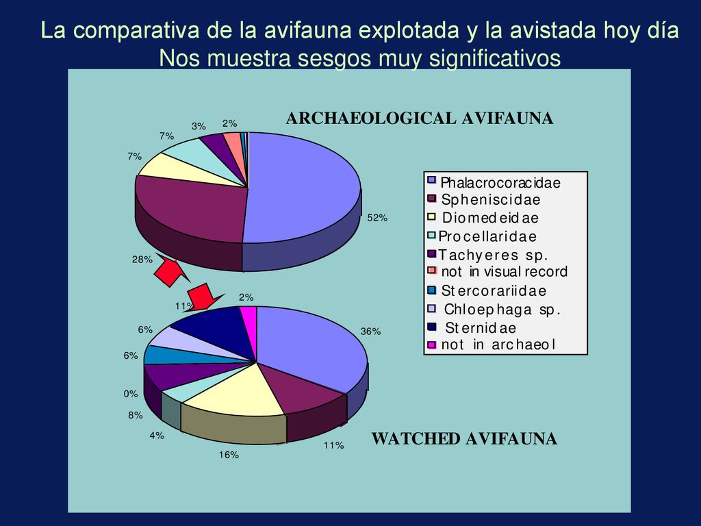 La comparativa de la avifauna explotada y la avistada hoy día