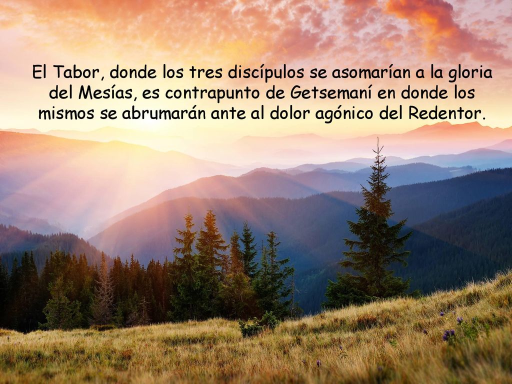 El Tabor, donde los tres discípulos se asomarían a la gloria del Mesías, es contrapunto de Getsemaní en donde los mismos se abrumarán ante al dolor agónico del Redentor.