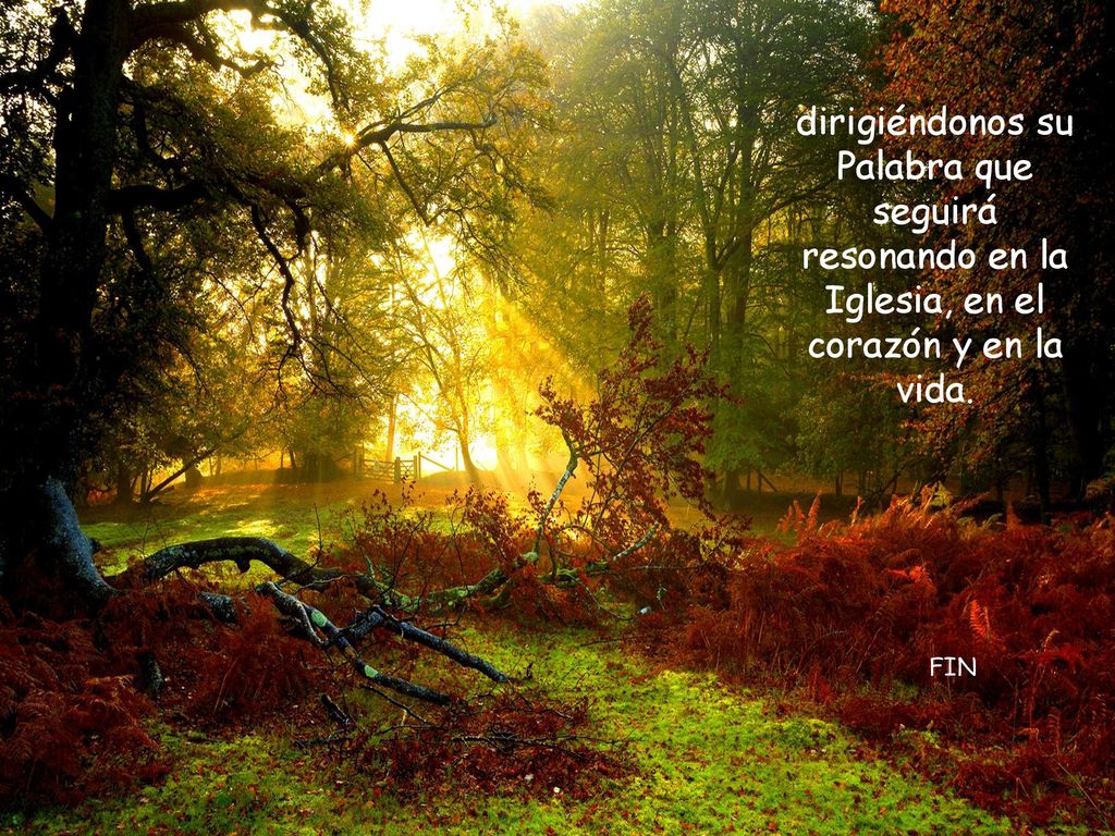 dirigiéndonos su Palabra que seguirá resonando en la Iglesia, en el corazón y en la vida.