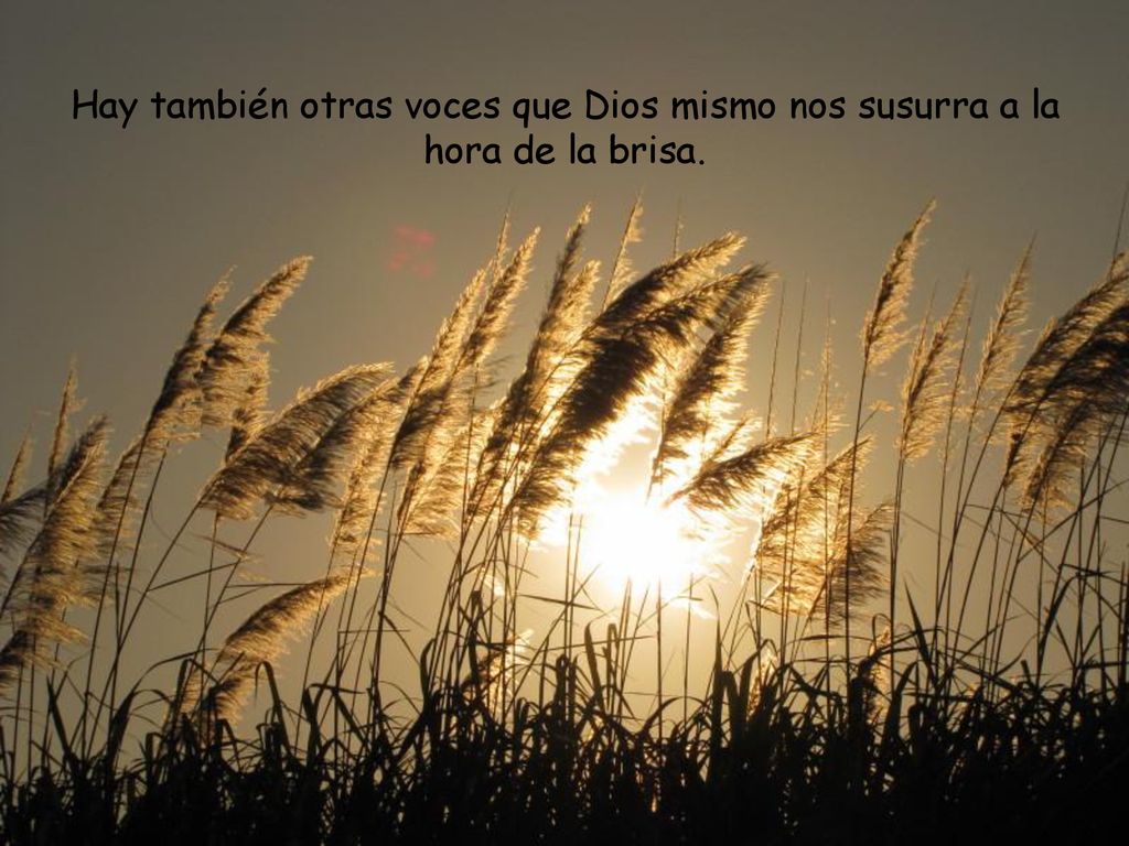 Hay también otras voces que Dios mismo nos susurra a la hora de la brisa.
