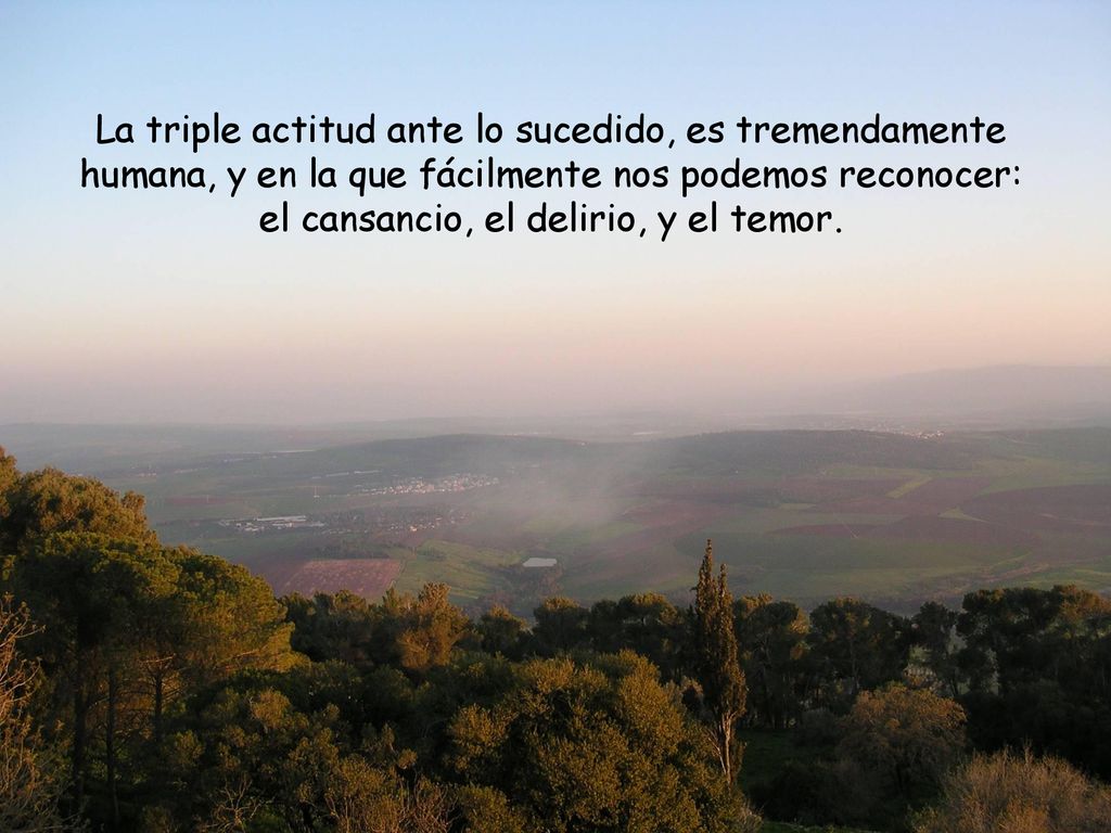 La triple actitud ante lo sucedido, es tremendamente humana, y en la que fácilmente nos podemos reconocer: el cansancio, el delirio, y el temor.